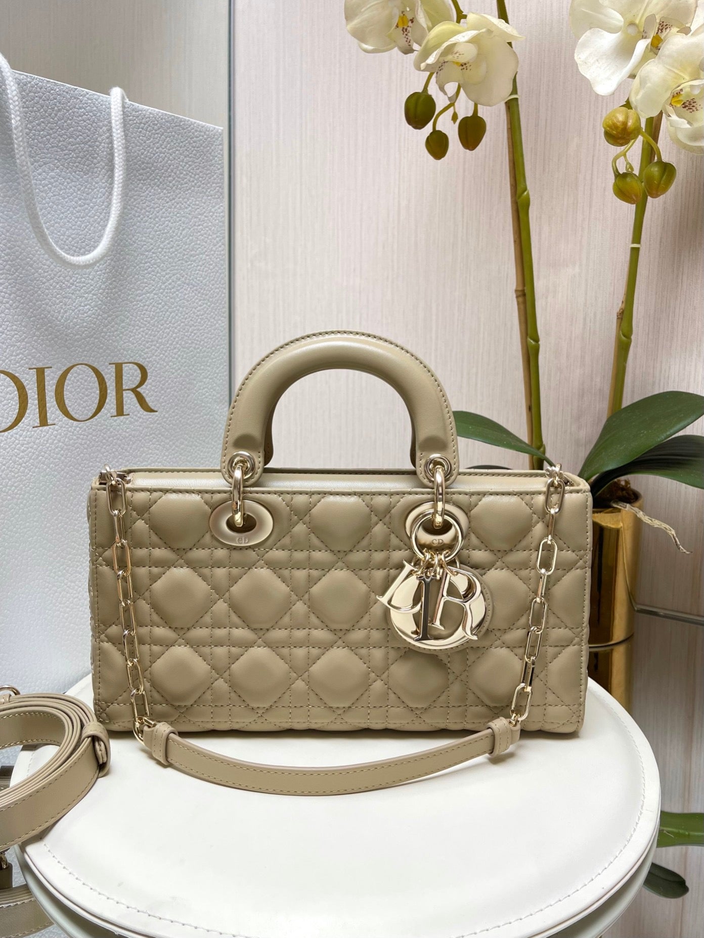 Women LuxluxHouse Dior Bag Top Quality