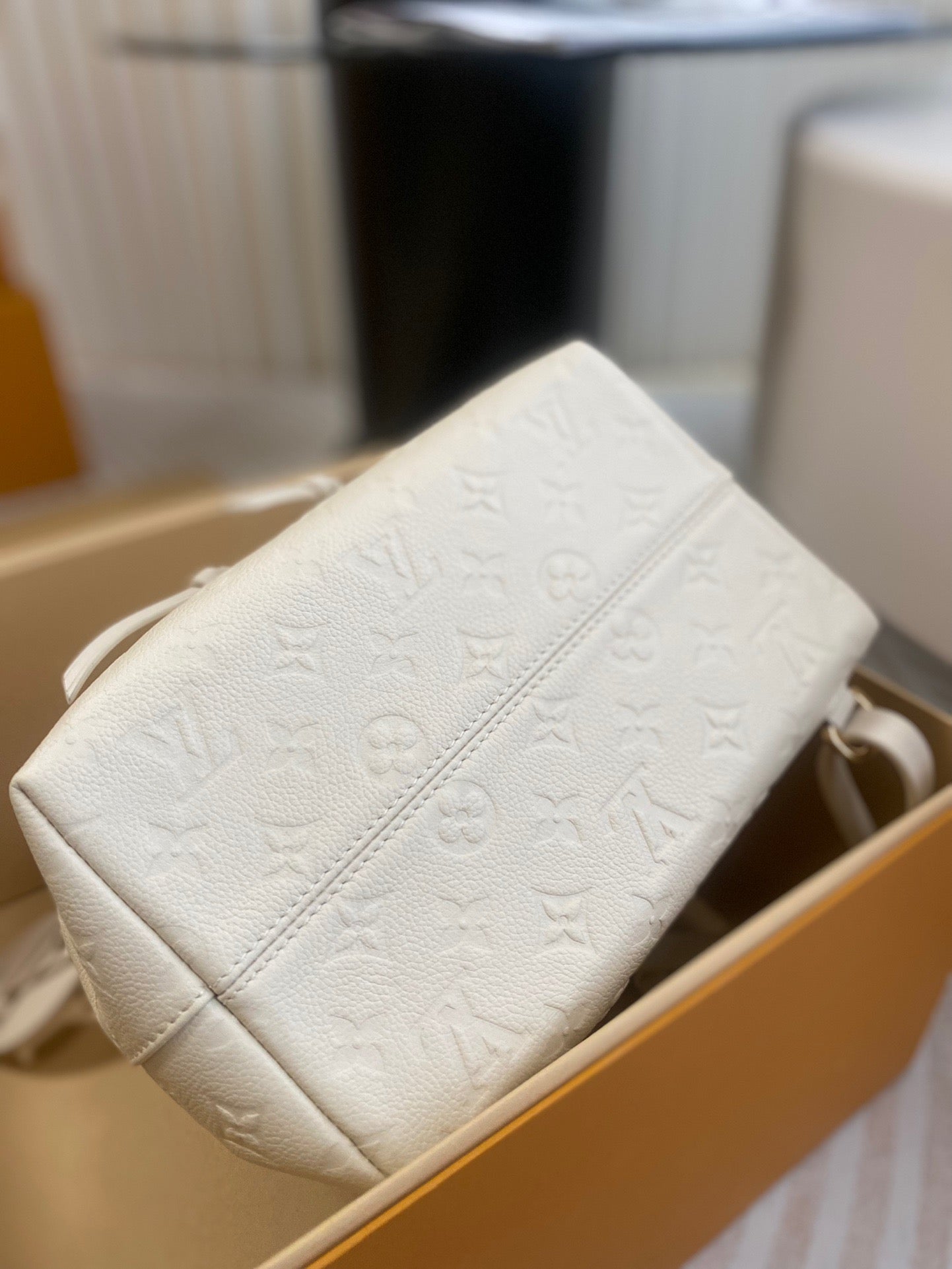 Louis Vuitton Top Bag (LuxluxHouse)