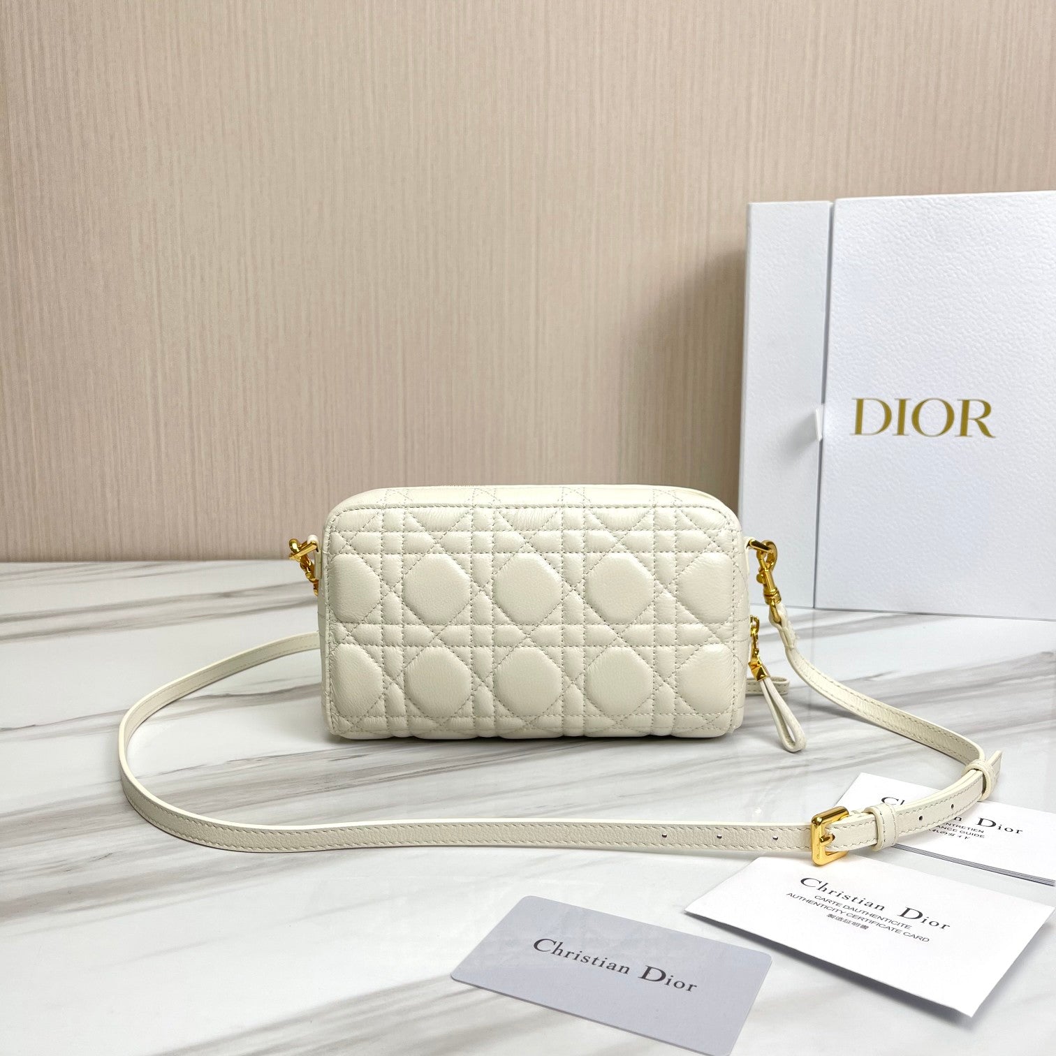 Free shipping LuxluxHouse Dior Top Bag 19*10.5*5cm