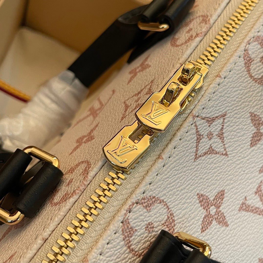 Louis Vuitton Top Bag (LuxluxHouse)