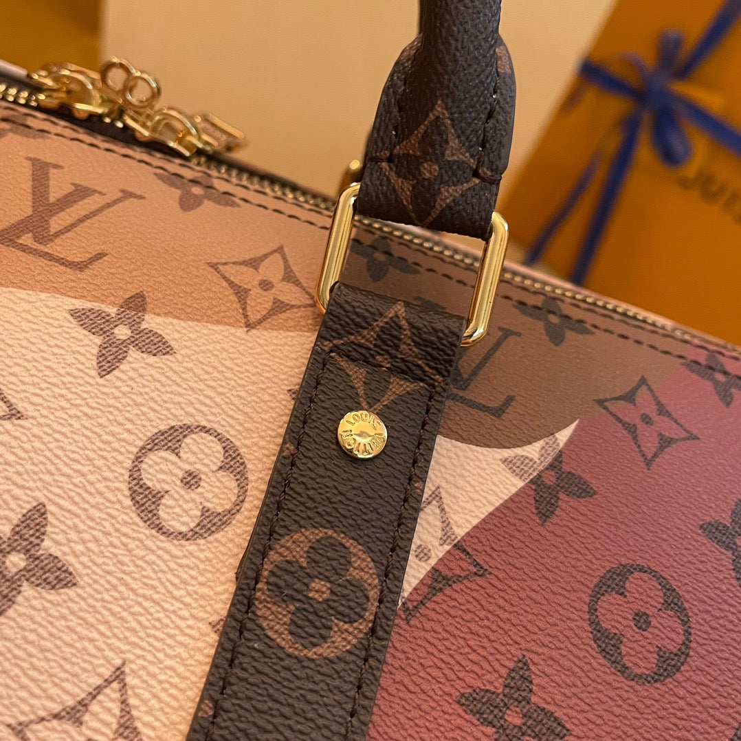 Louis Vuitton Top Bag (LuxluxHouse)