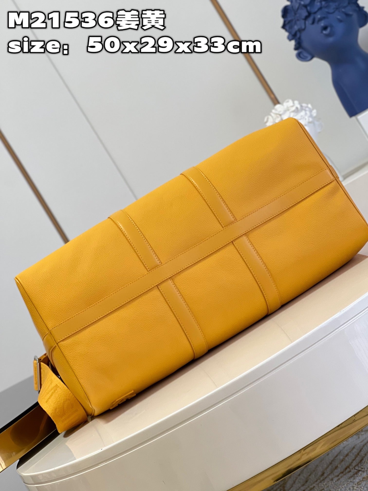 Louis Vuitton Top Bag (LuxluxHouse)