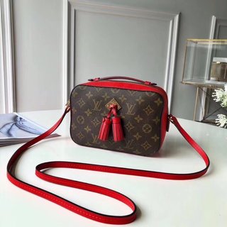 LuxluxHouse Great quality Louis Vuitton Bag Top Quality 22*16*8cm Free shipping