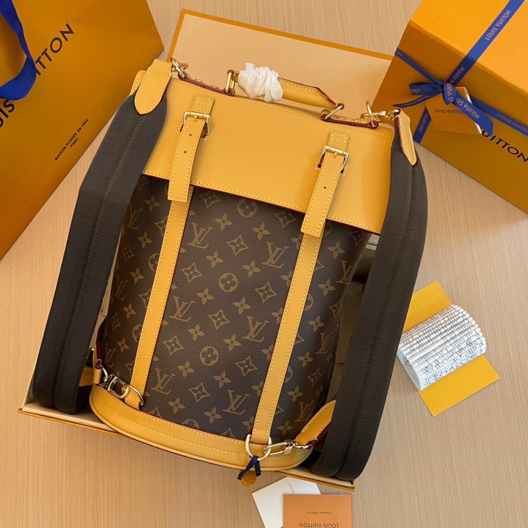 Louis Vuitton Top Bag (LuxluxHouse)