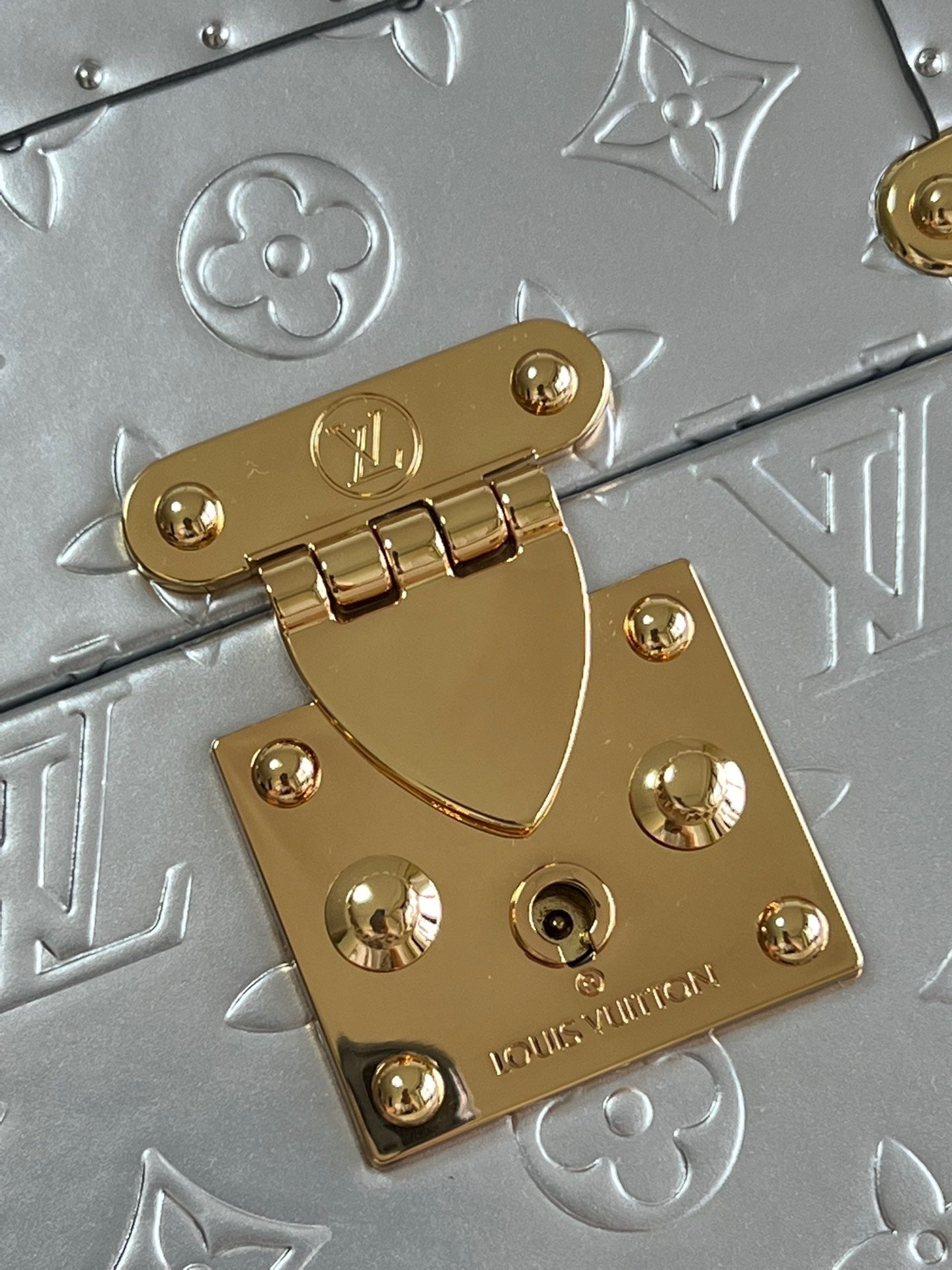 Louis Vuitton Top Bag (LuxluxHouse)