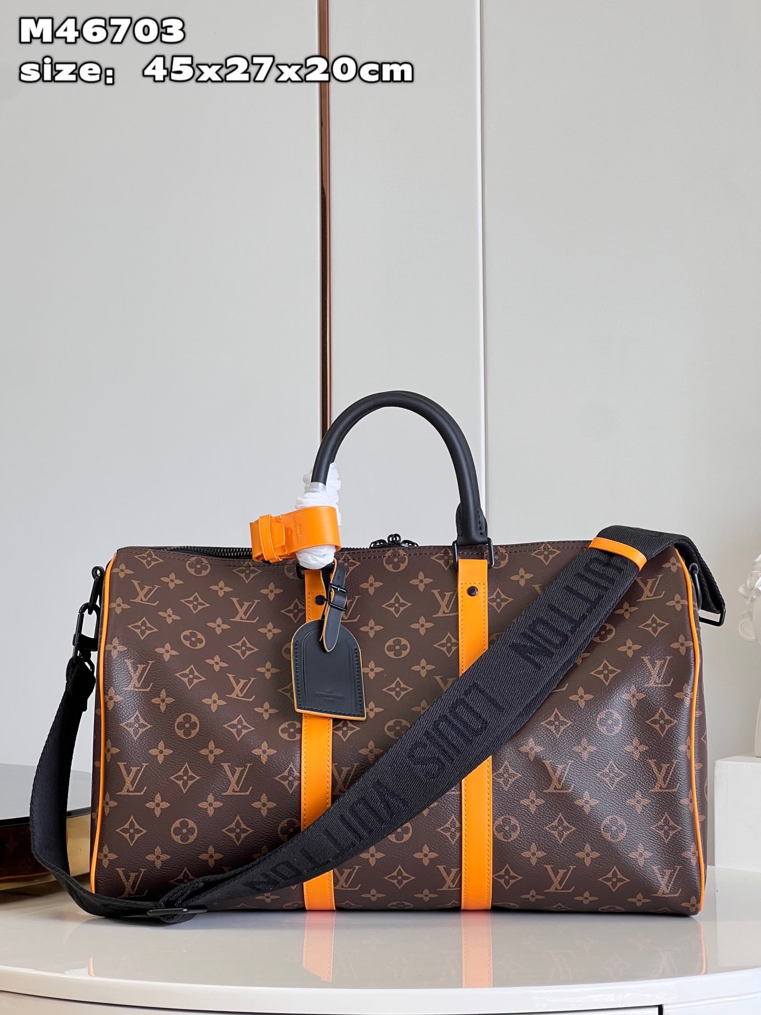 Louis Vuitton Top Bag (LuxluxHouse)