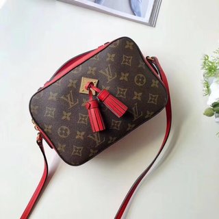 LuxluxHouse Great quality Louis Vuitton Bag Top Quality 22*16*8cm Free shipping