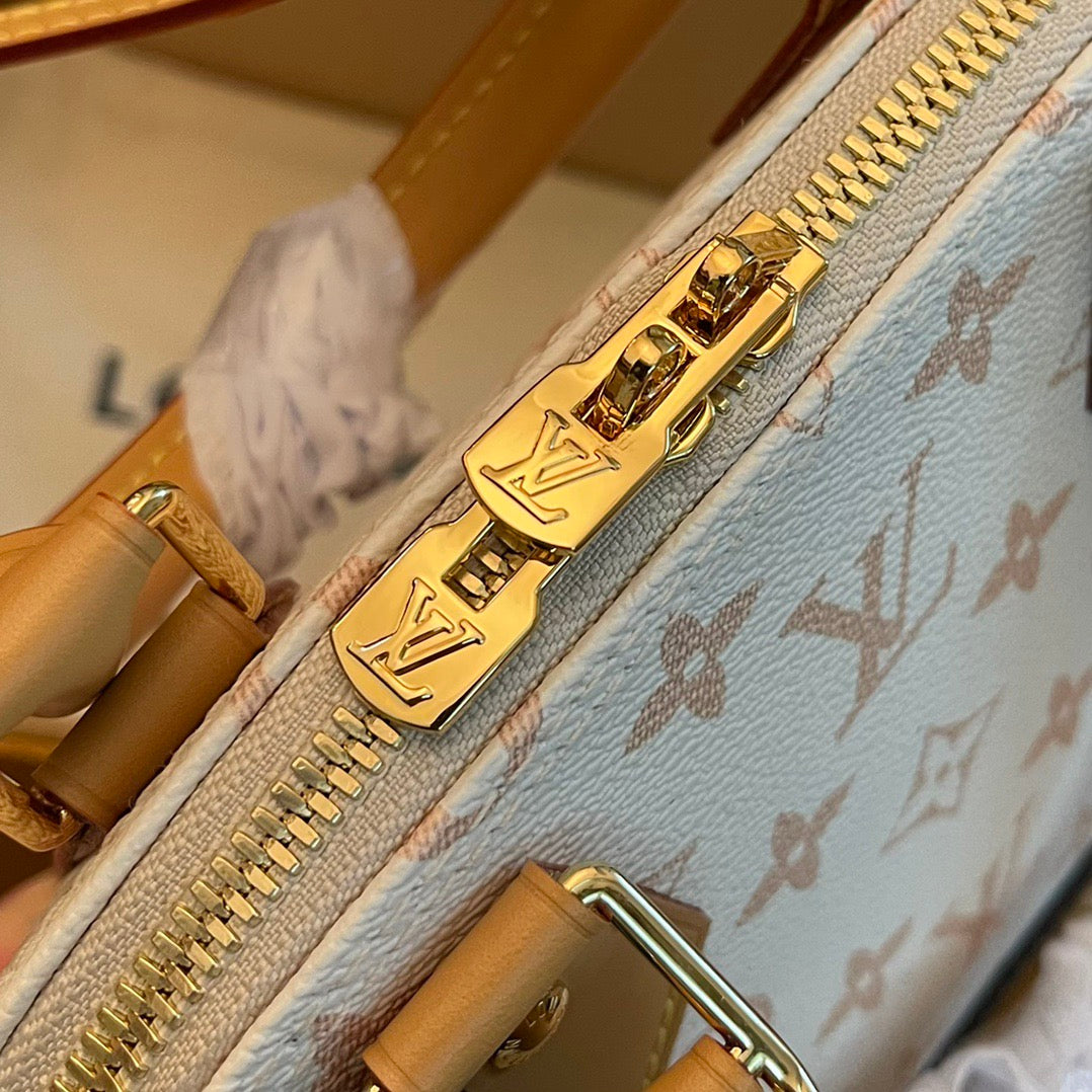 Louis Vuitton Top Bag (LuxluxHouse)