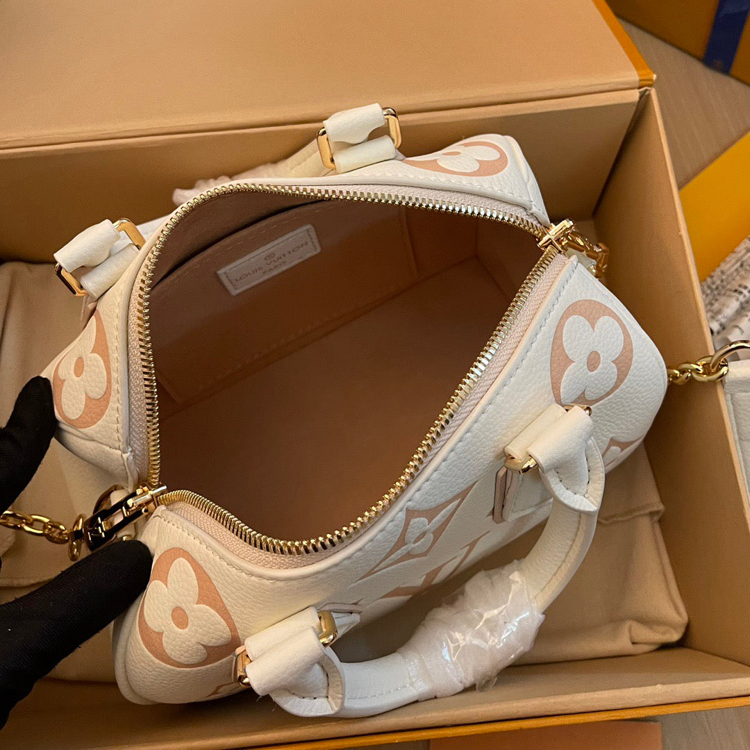 Louis Vuitton Top Bag (LuxluxHouse)