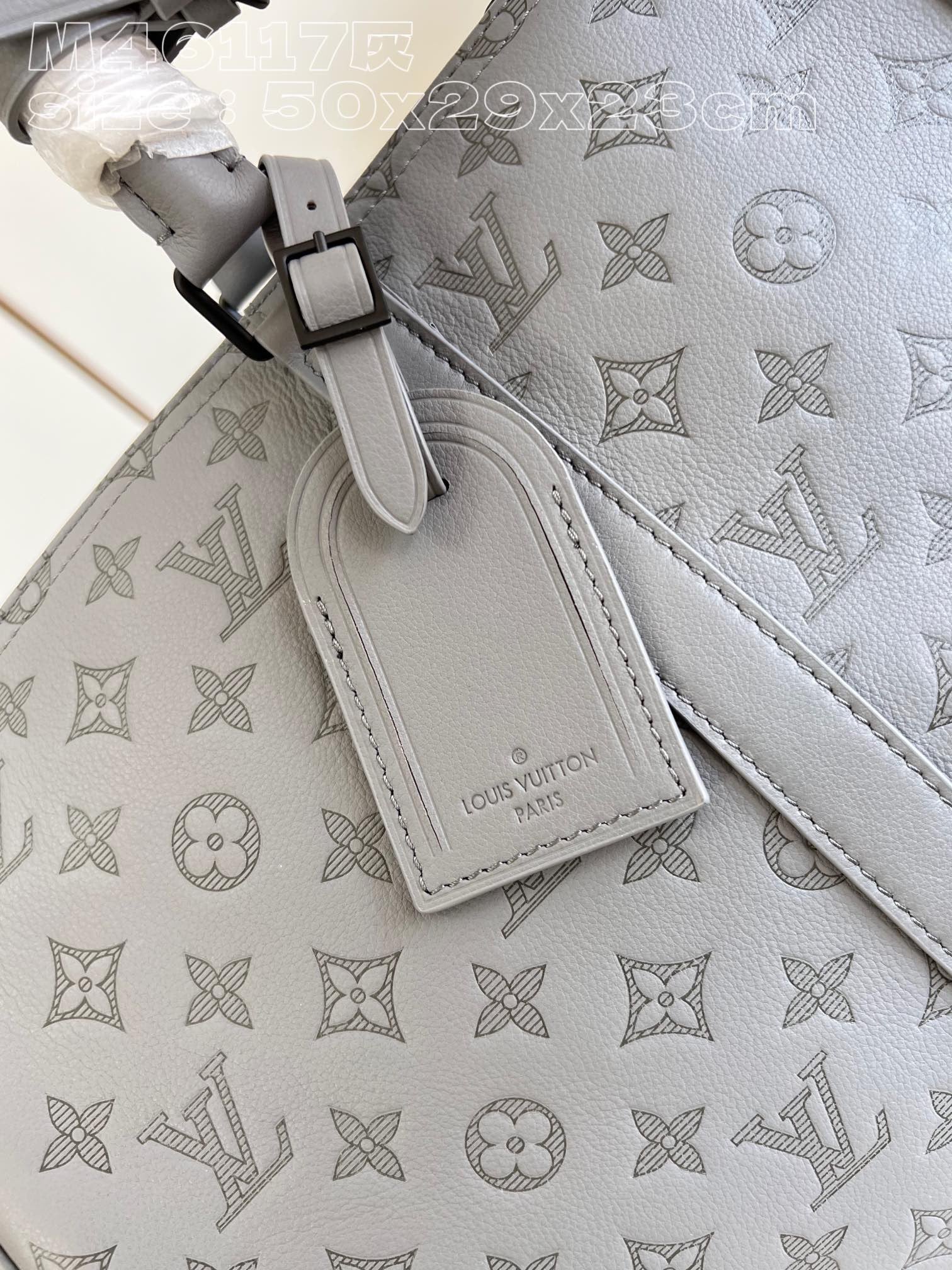 Louis Vuitton Top Bag (LuxluxHouse)