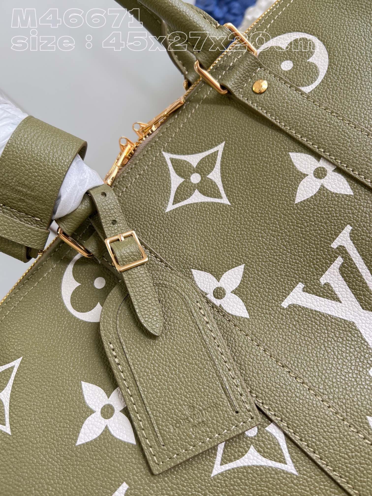 Louis Vuitton Top Bag (LuxluxHouse)