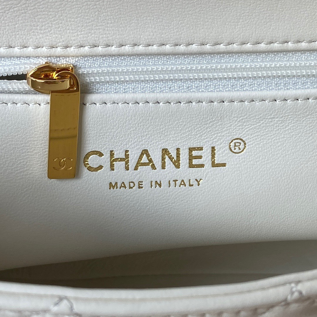 Chanel Bag Top Quality as4023 (LuxluxHouse)