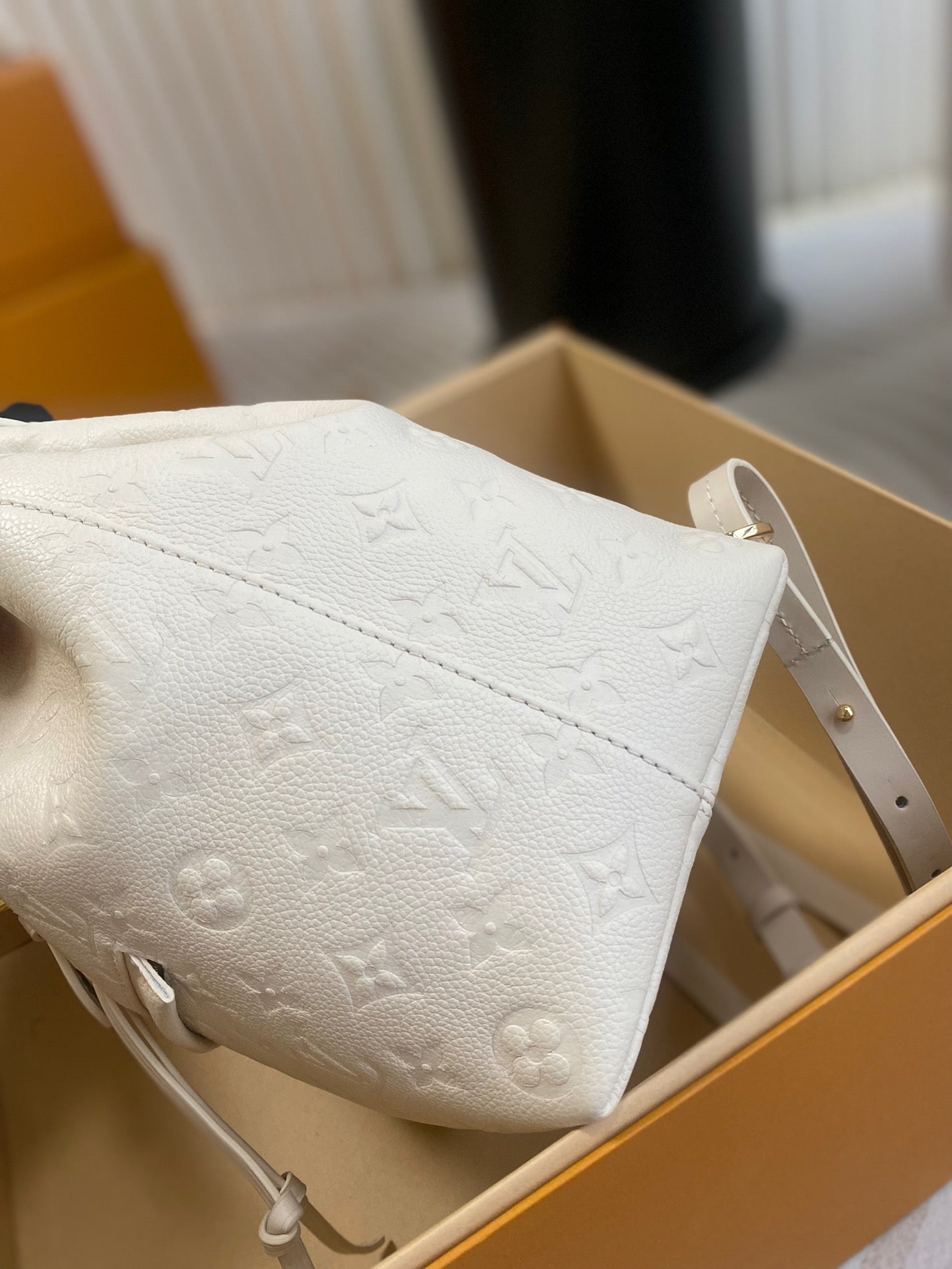 Louis Vuitton Top Bag (LuxluxHouse)