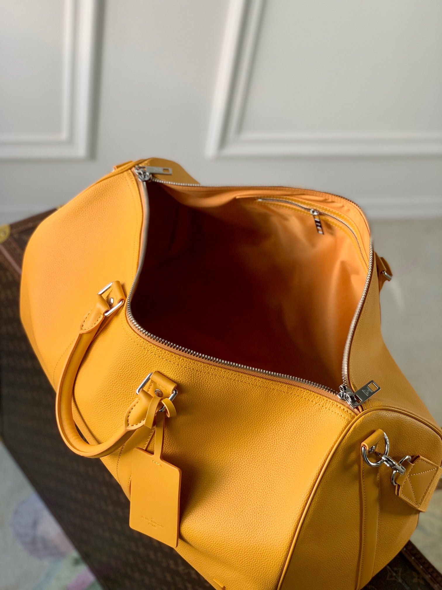 Louis Vuitton Top Bag (LuxluxHouse)