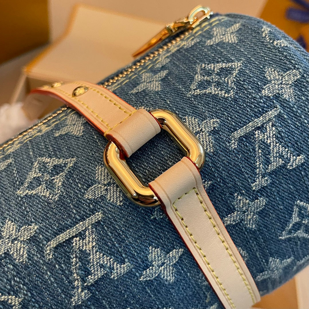 Louis Vuitton Top Bag (LuxluxHouse)