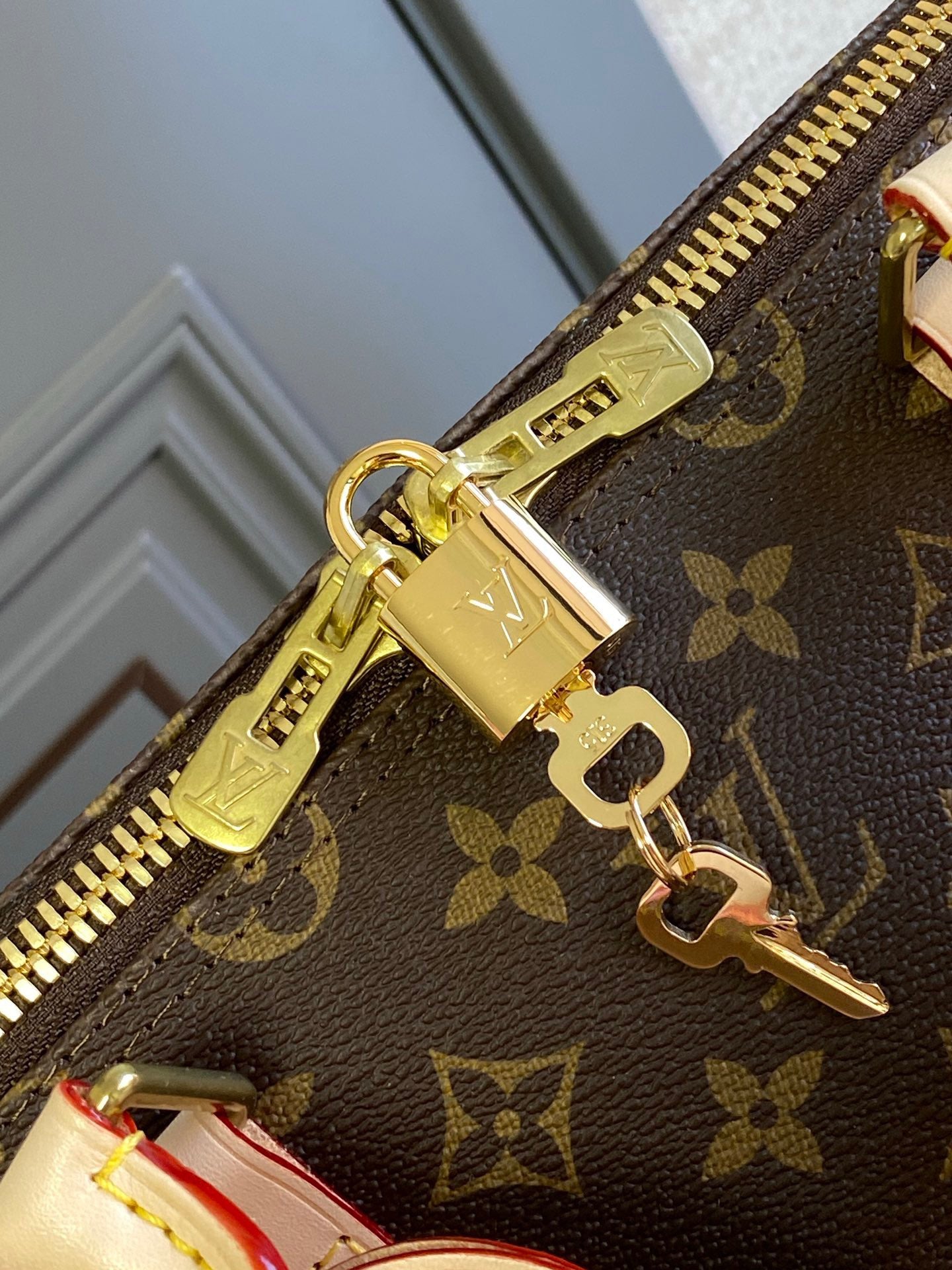 Louis Vuitton Top Bag (LuxluxHouse)