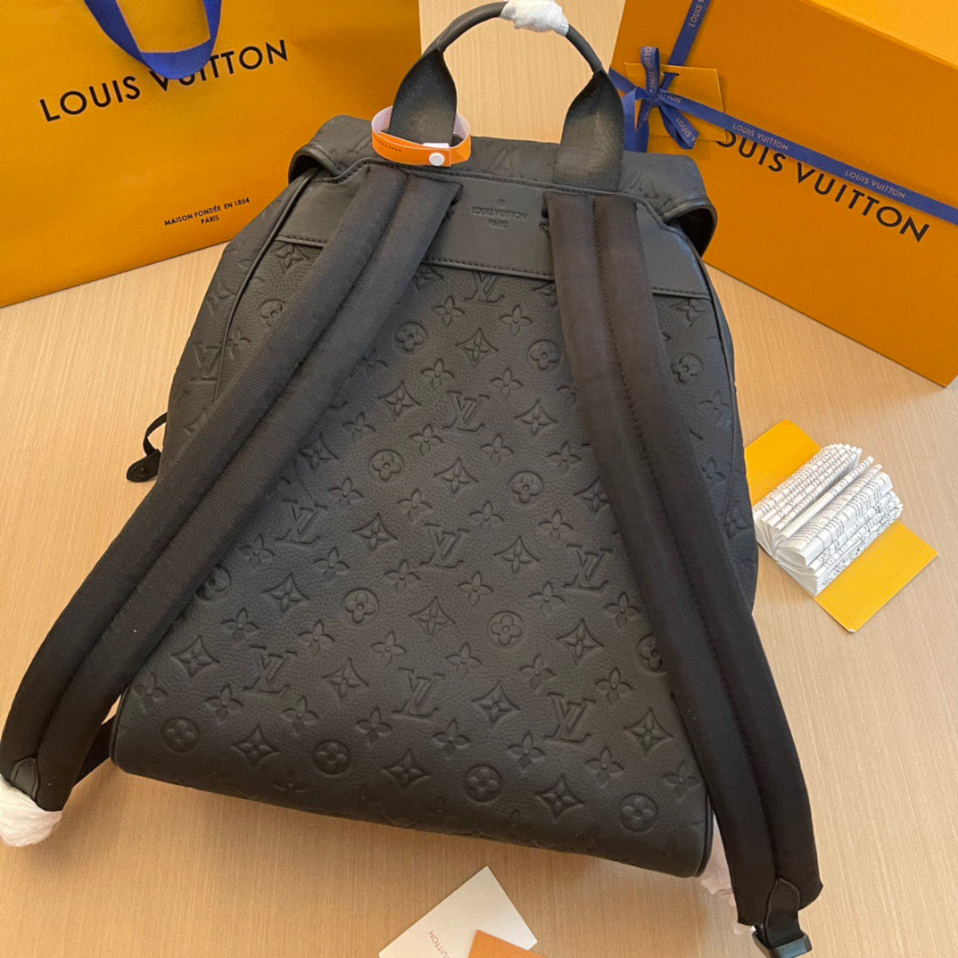 Louis Vuitton Top Bag (LuxluxHouse)