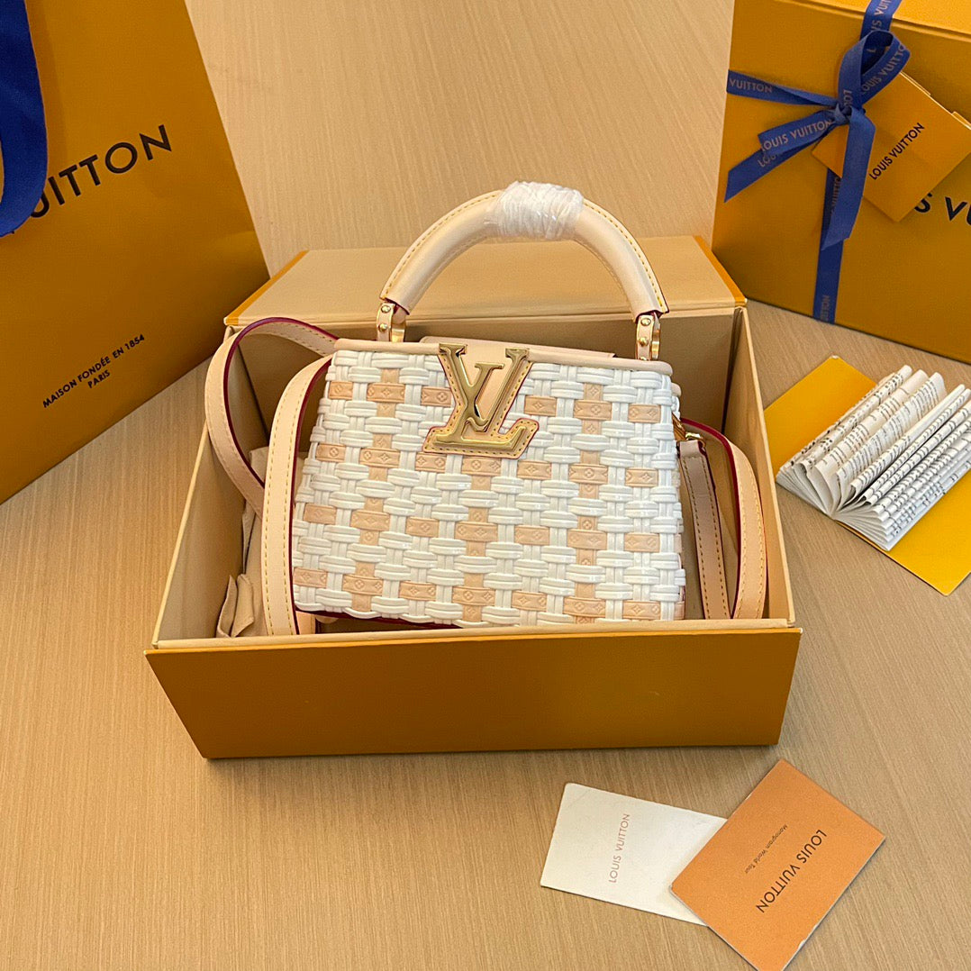 Louis Vuitton Top Bag (LuxluxHouse)