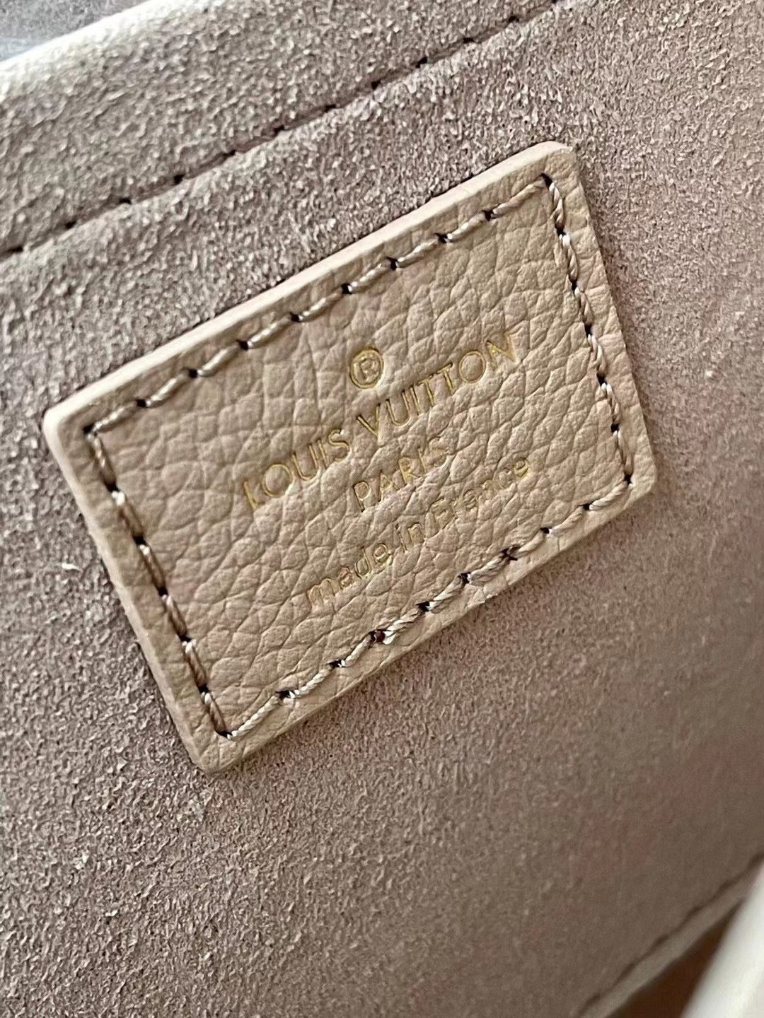 Louis Vuitton Top Bag (LuxluxHouse)