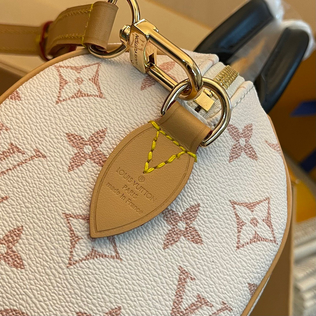 Louis Vuitton Top Bag (LuxluxHouse)