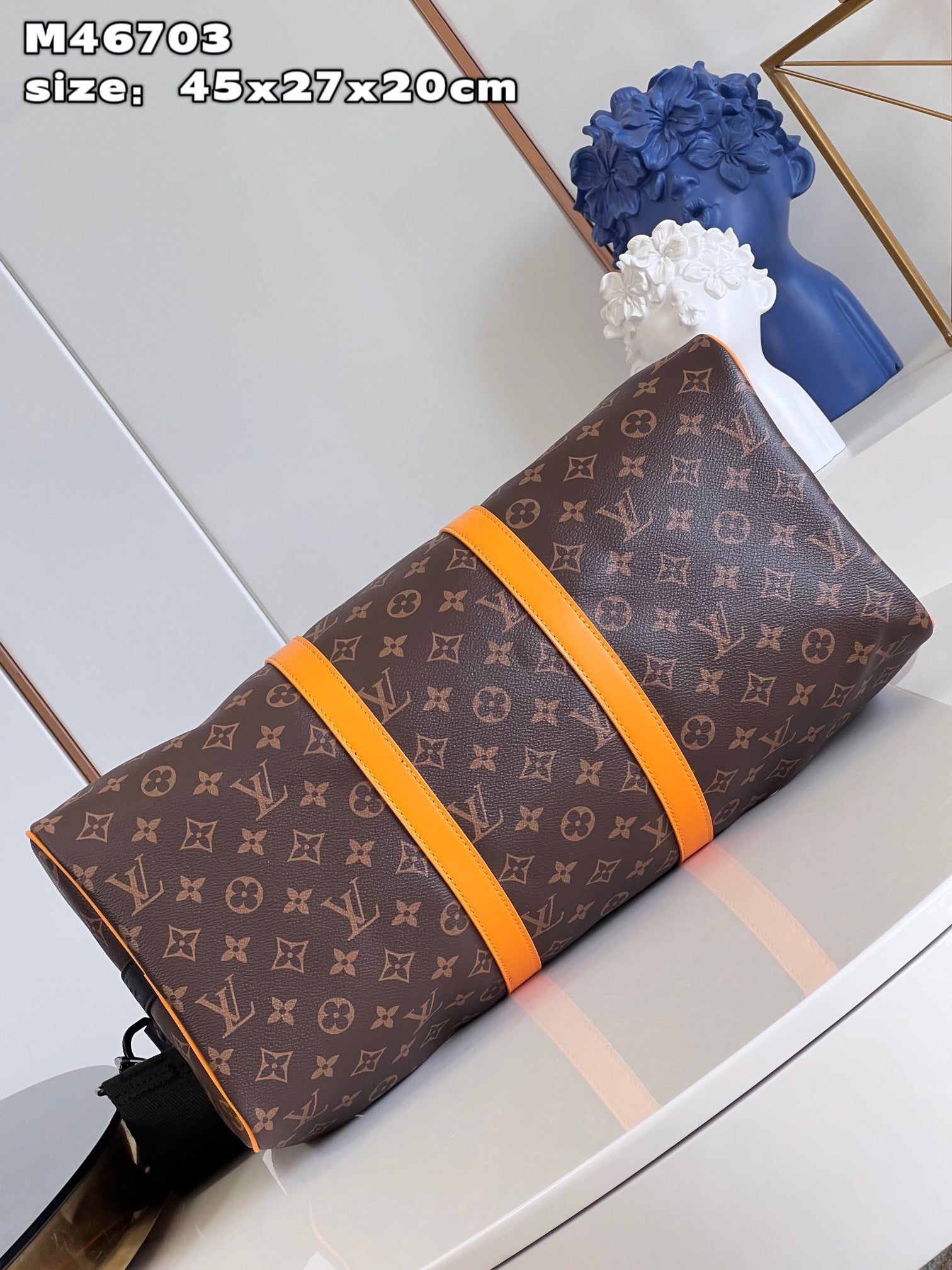 Louis Vuitton Top Bag (LuxluxHouse)