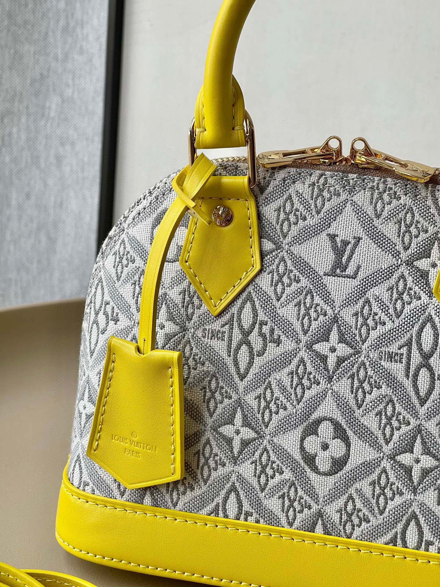 Louis Vuitton Top Bag (LuxluxHouse)