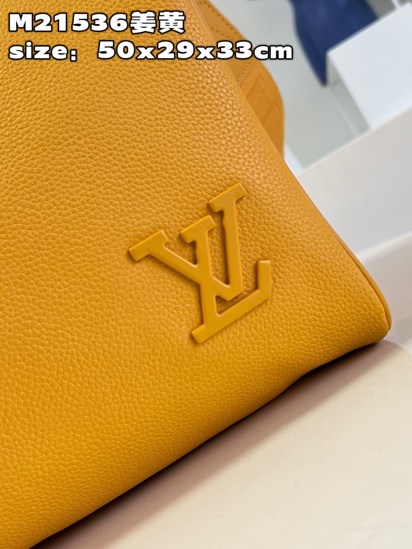 Louis Vuitton Top Bag (LuxluxHouse)