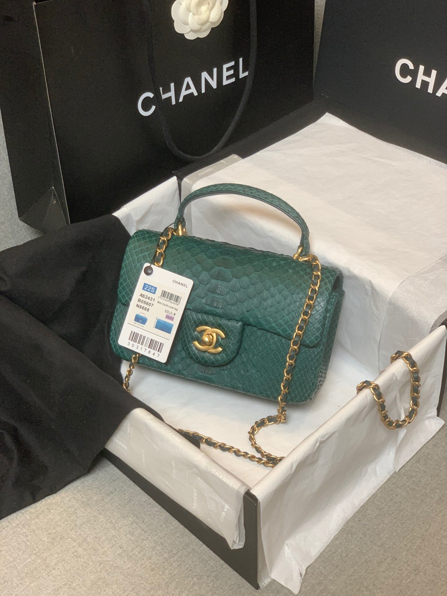 Chanel Bag Top Quality 2431 ( LuxluxHouse)