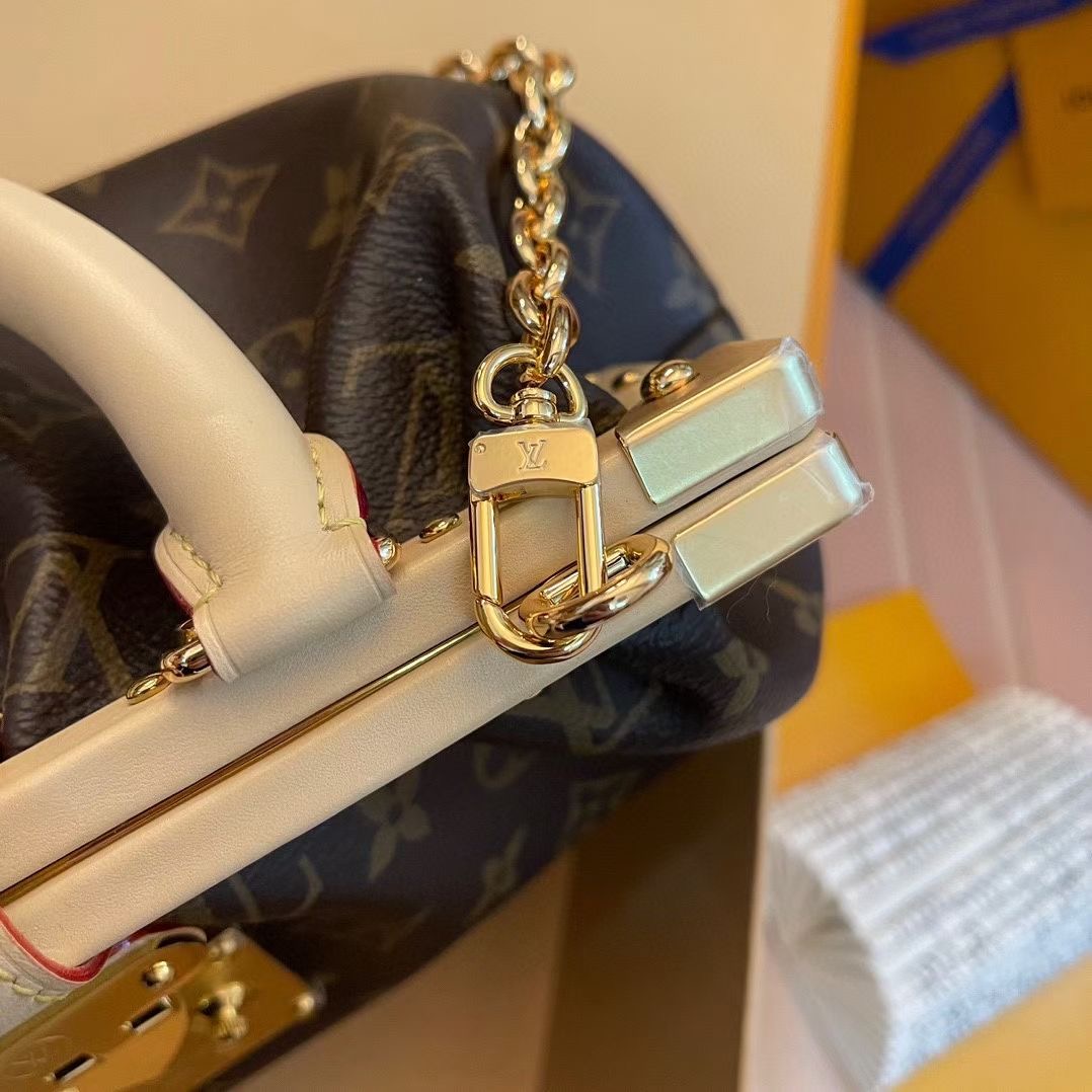 Louis Vuitton Top Bag (LuxluxHouse)