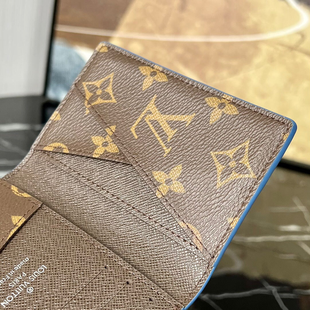 Louis Vuitton Top Bag (LuxluxHouse)