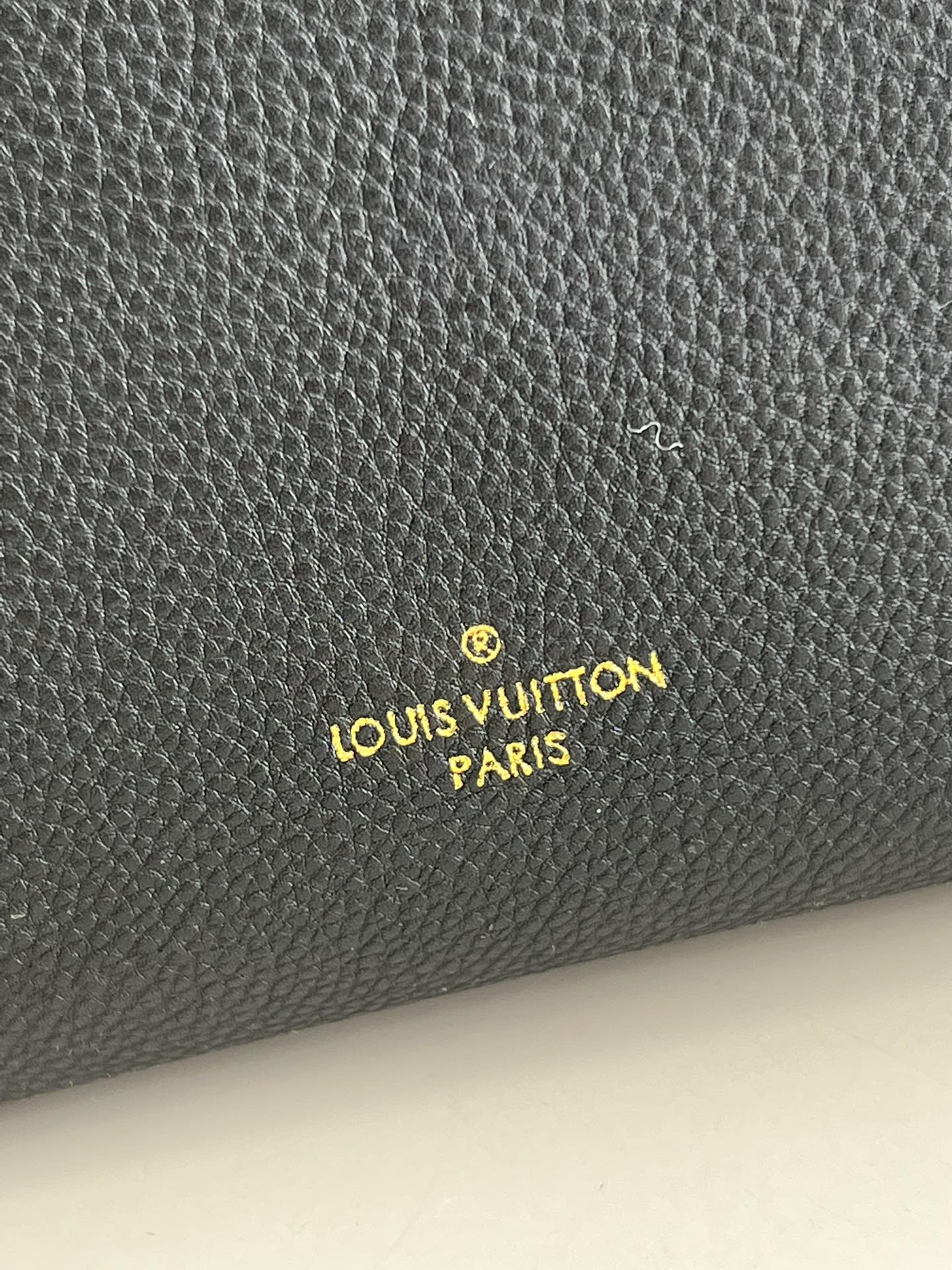 LuxluxHouse Great quality Louis Vuitton Bag Top Quality 25*20*12CM Free shipping