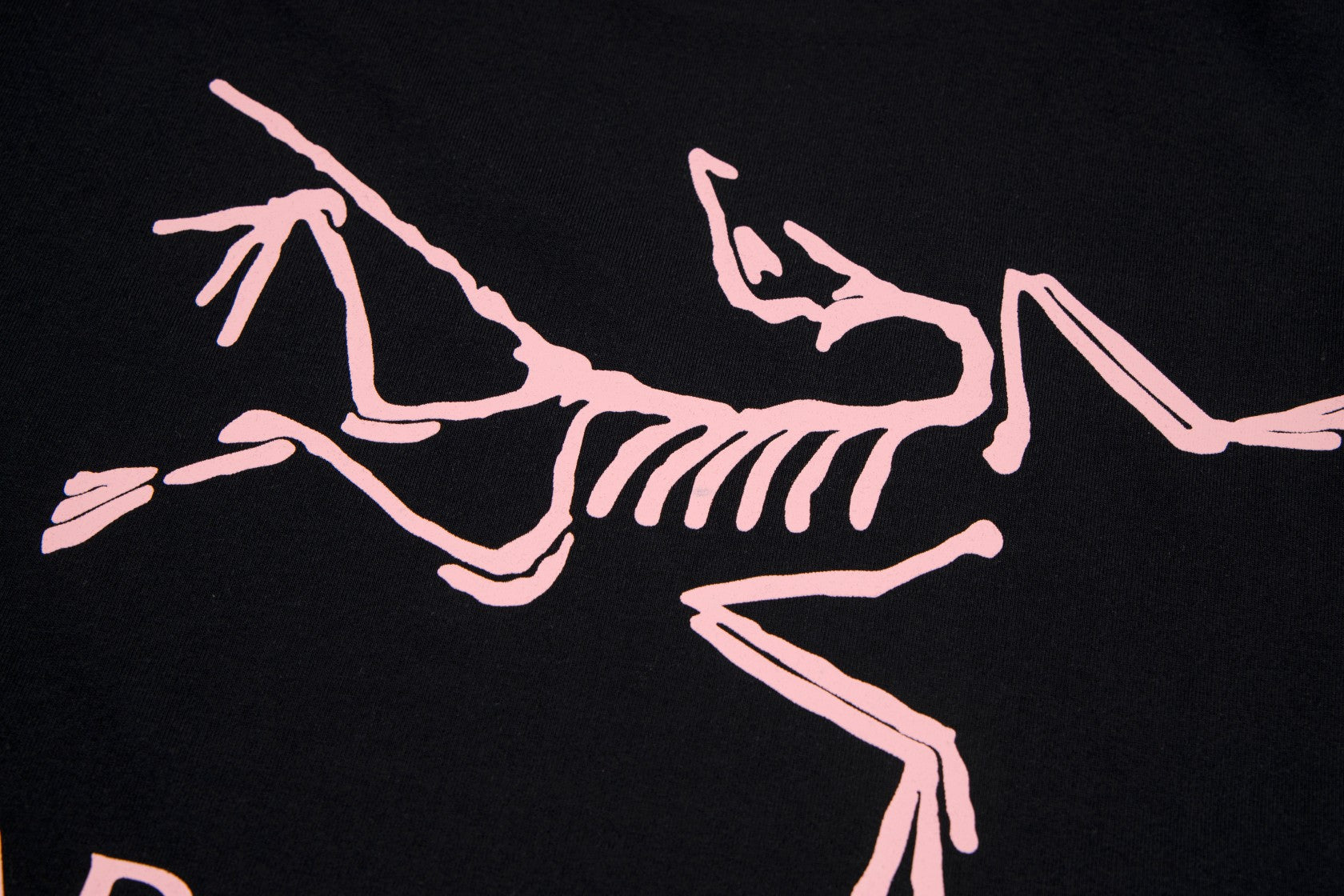 LuxluxHouse Best Quality Clothes T-shirt Arcteryx