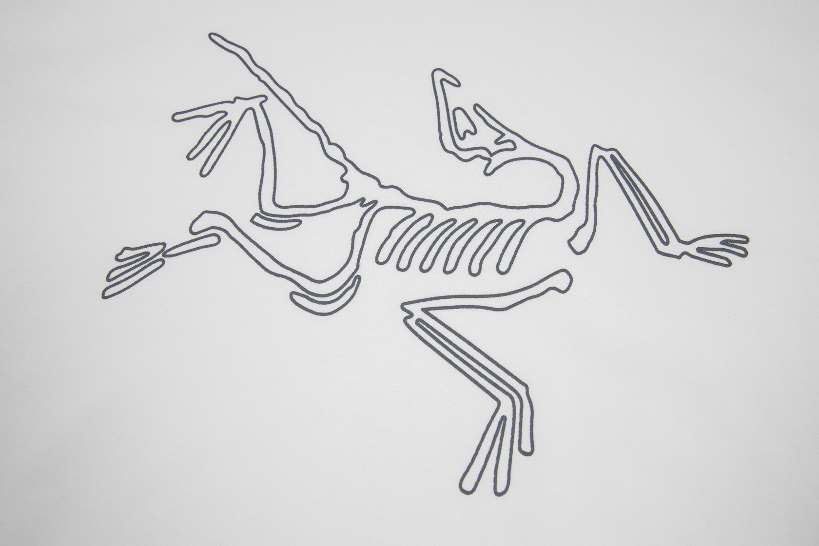 LuxluxHouse Best Quality Clothes T-shirt Arcteryx