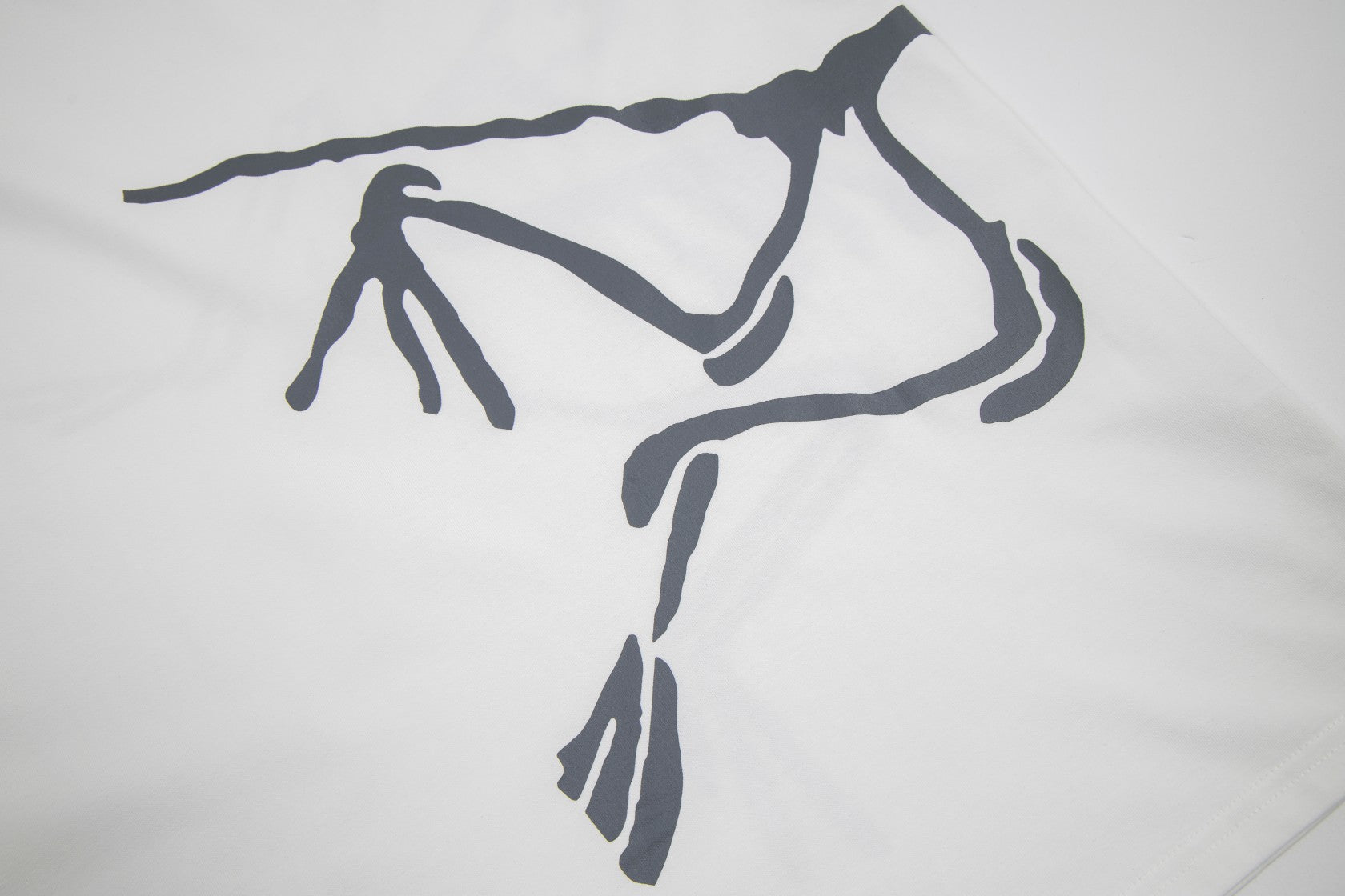 LuxluxHouse Best Quality Clothes T-shirt Arcteryx