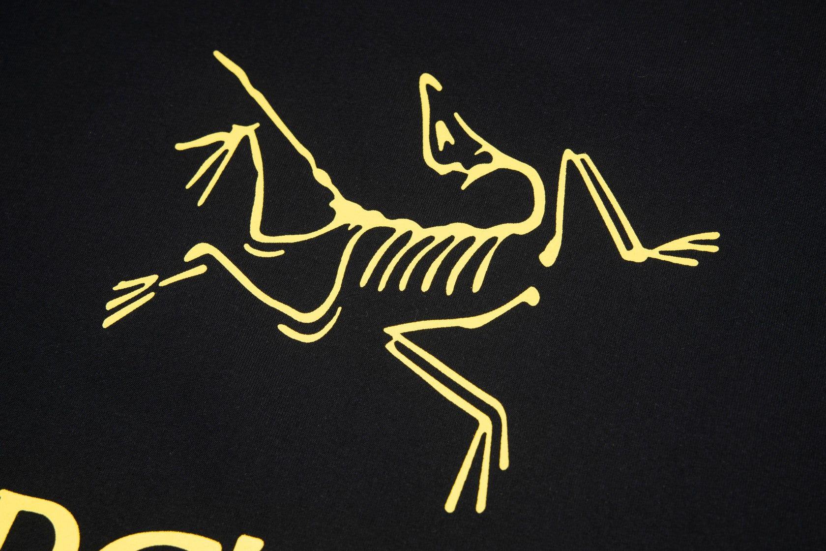 LuxluxHouse Best Quality Clothes T-shirt Arcteryx