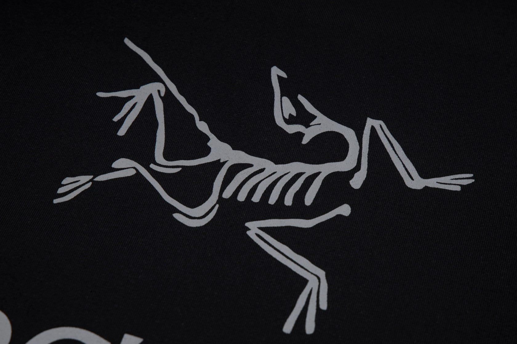 LuxluxHouse Best Quality Clothes T-shirt Arcteryx