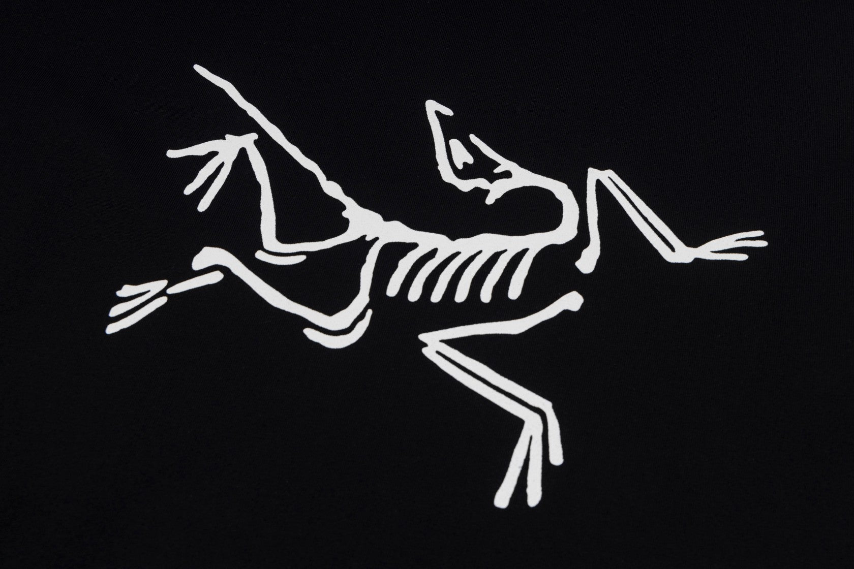 LuxluxHouse Best Quality Clothes T-shirt Arcteryx