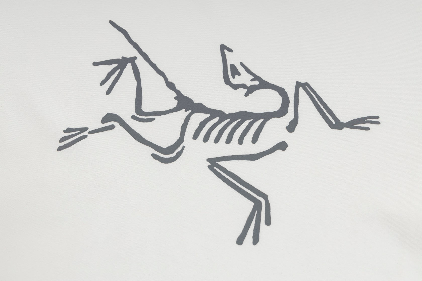 LuxluxHouse Best Quality Clothes T-shirt Arcteryx