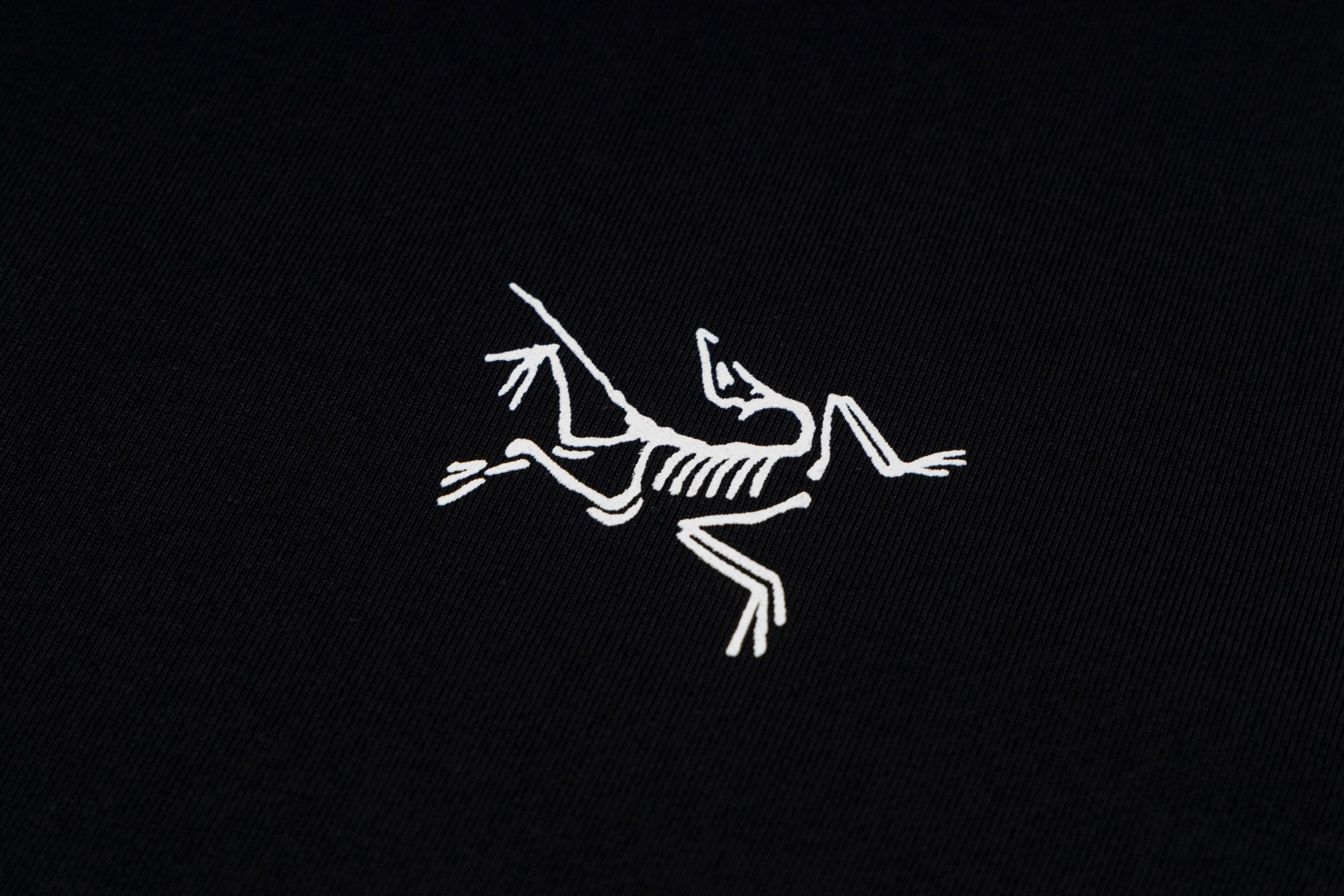 LuxluxHouse Best Quality Clothes T-shirt Arcteryx