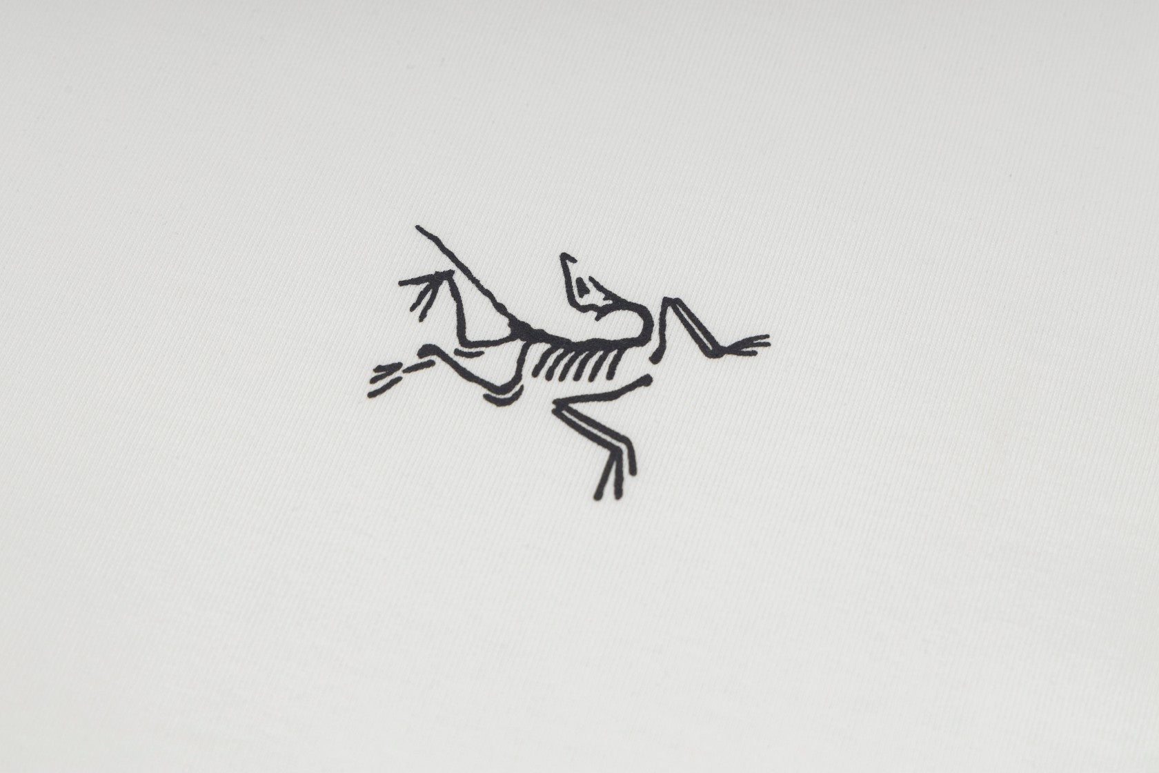 LuxluxHouse Best Quality Clothes T-shirt Arcteryx