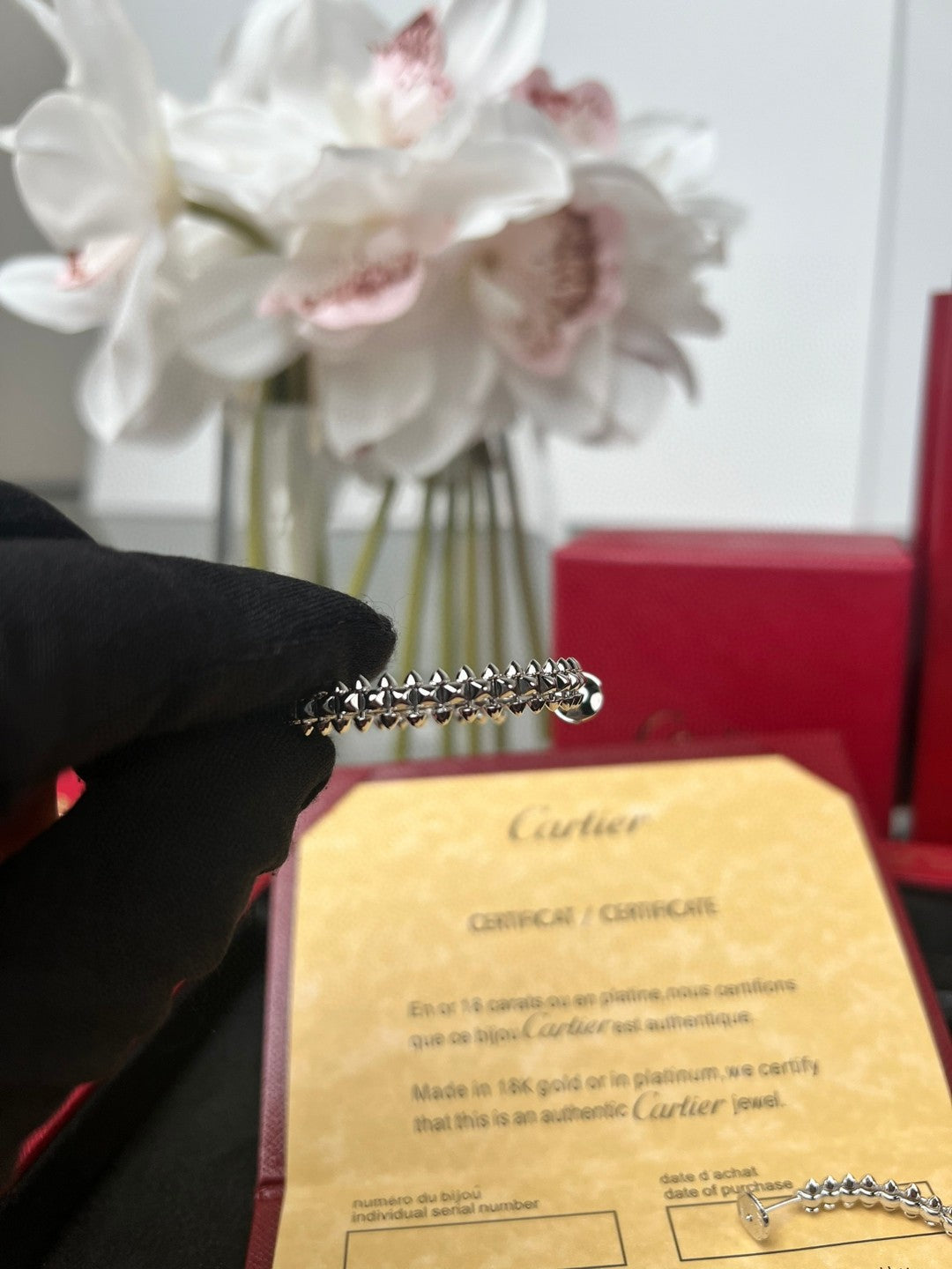 LuxluxHouse Best Quality Accessories Earrings Earrings Earrings Cartier