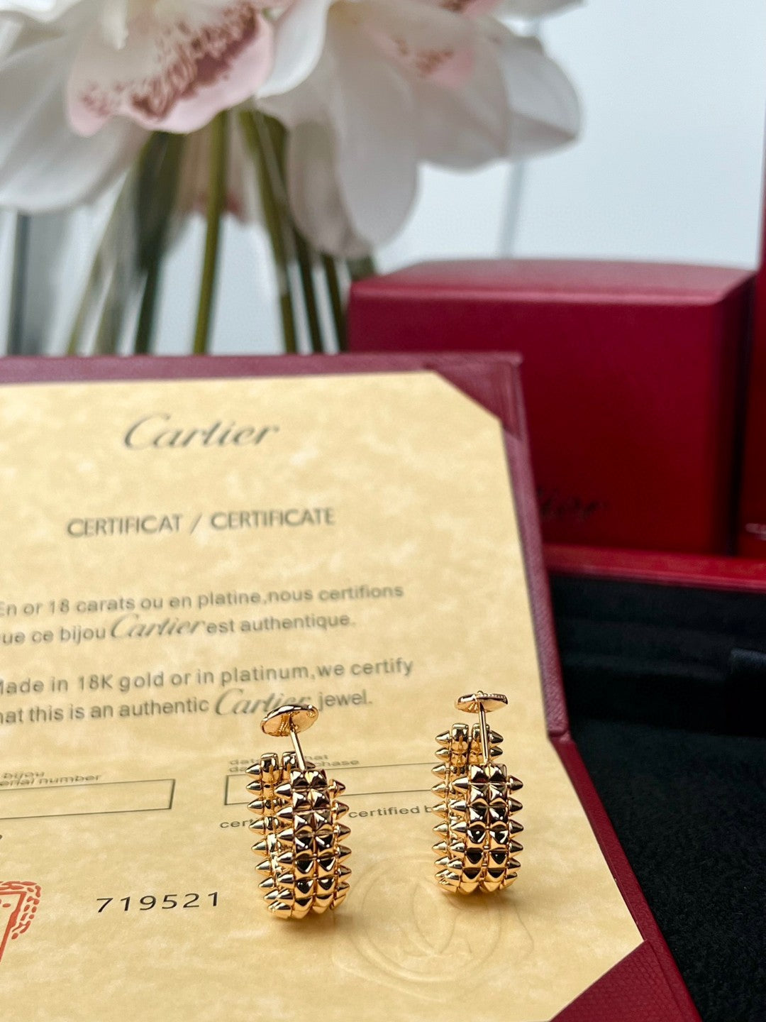 LuxluxHouse Best Quality Accessories Earrings Earrings Earrings Cartier
