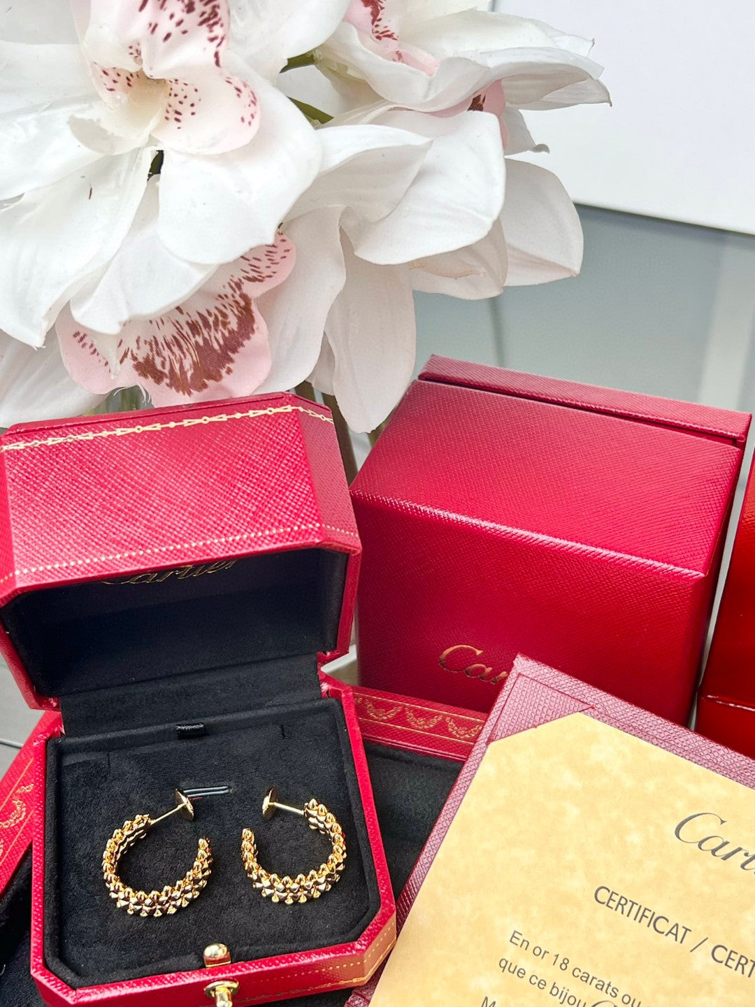 LuxluxHouse Best Quality Accessories Earrings Earrings Earrings Cartier