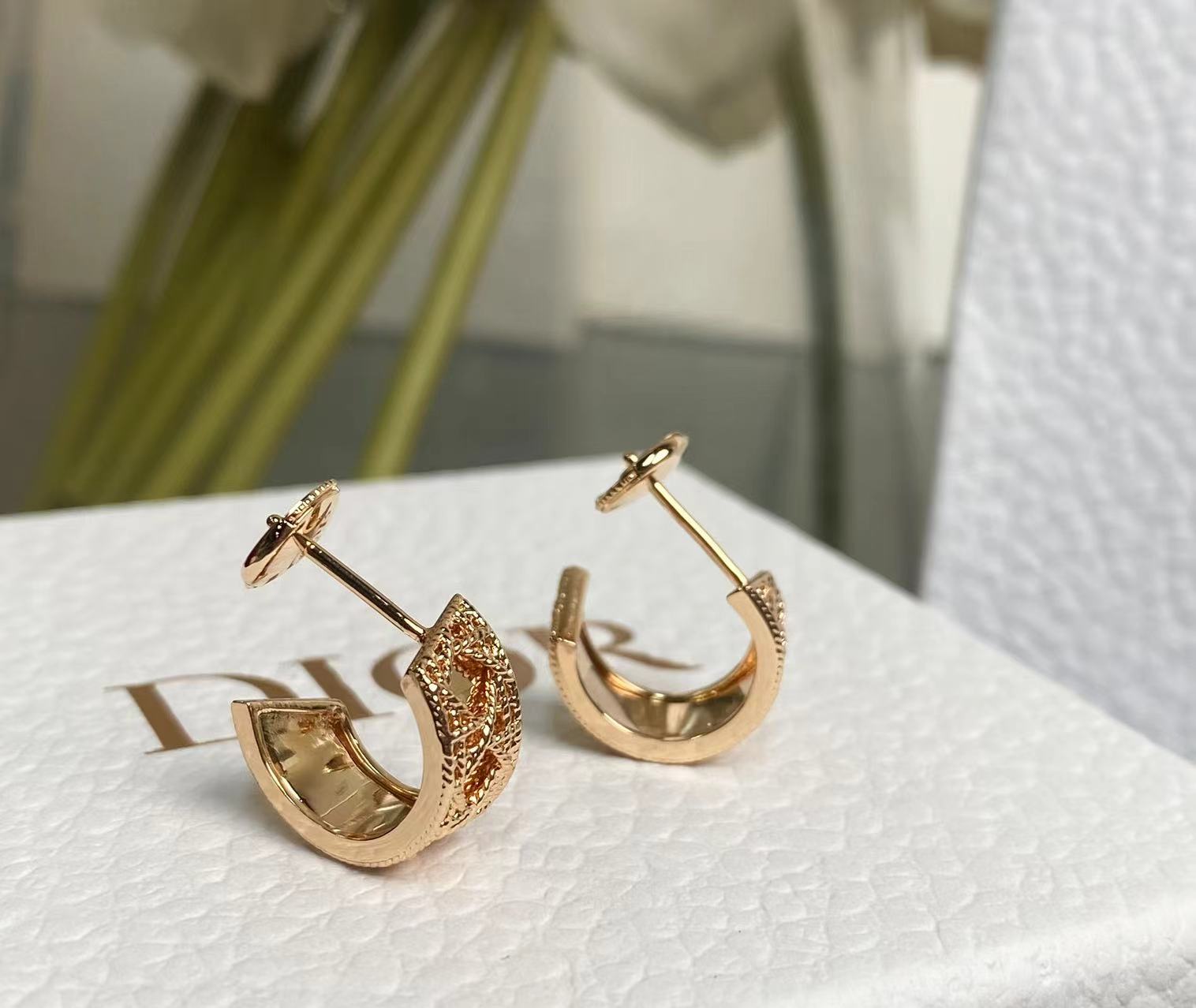 LuxluxHouse Best Quality Accessories Earrings Dior