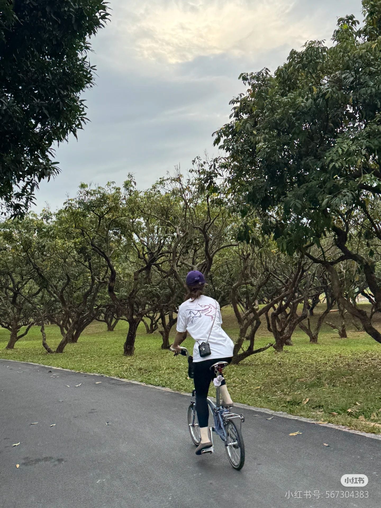 LuxluxHouse Best Quality Clothes T-shirt Arcteryx