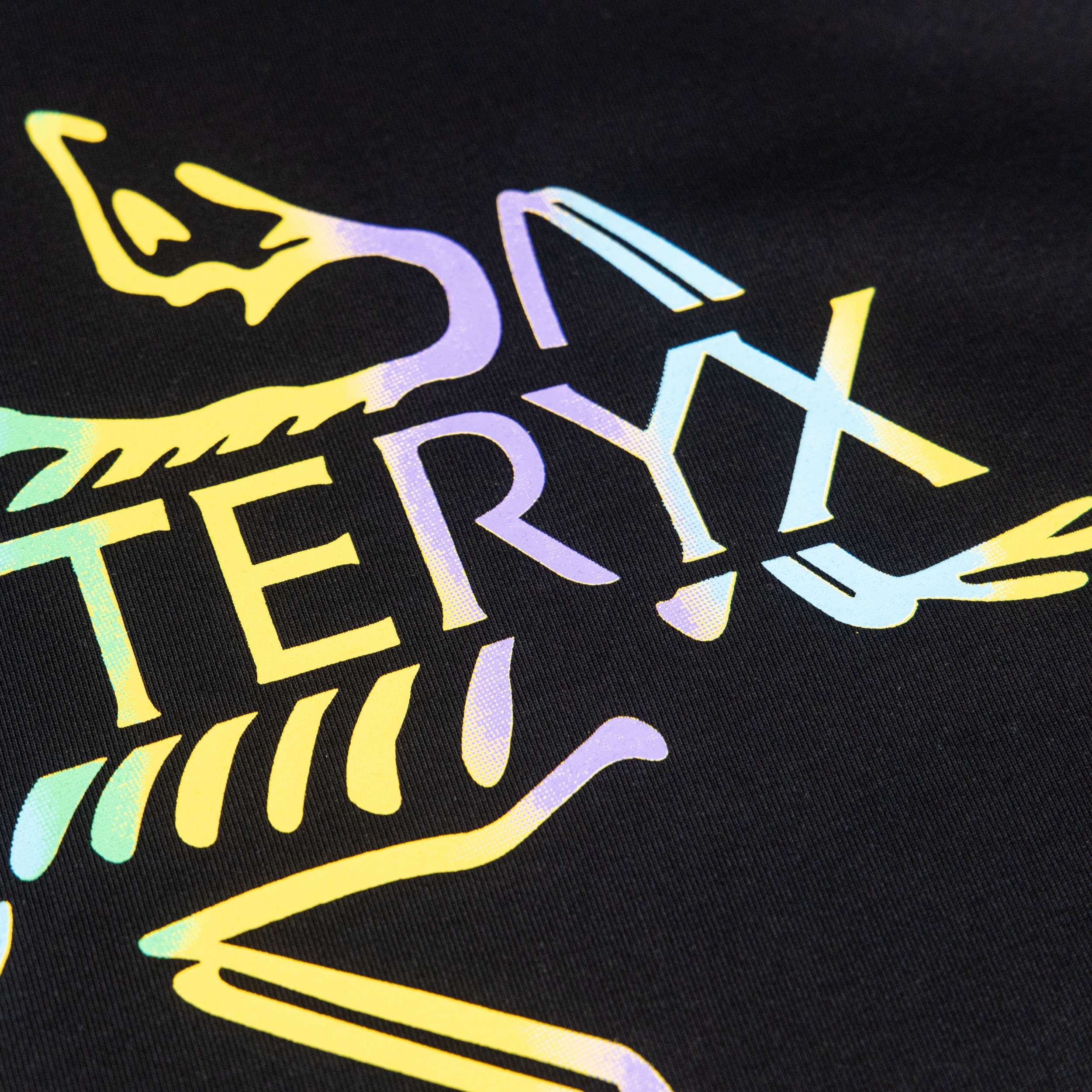 LuxluxHouse Best Quality Clothes T-shirt Arcteryx