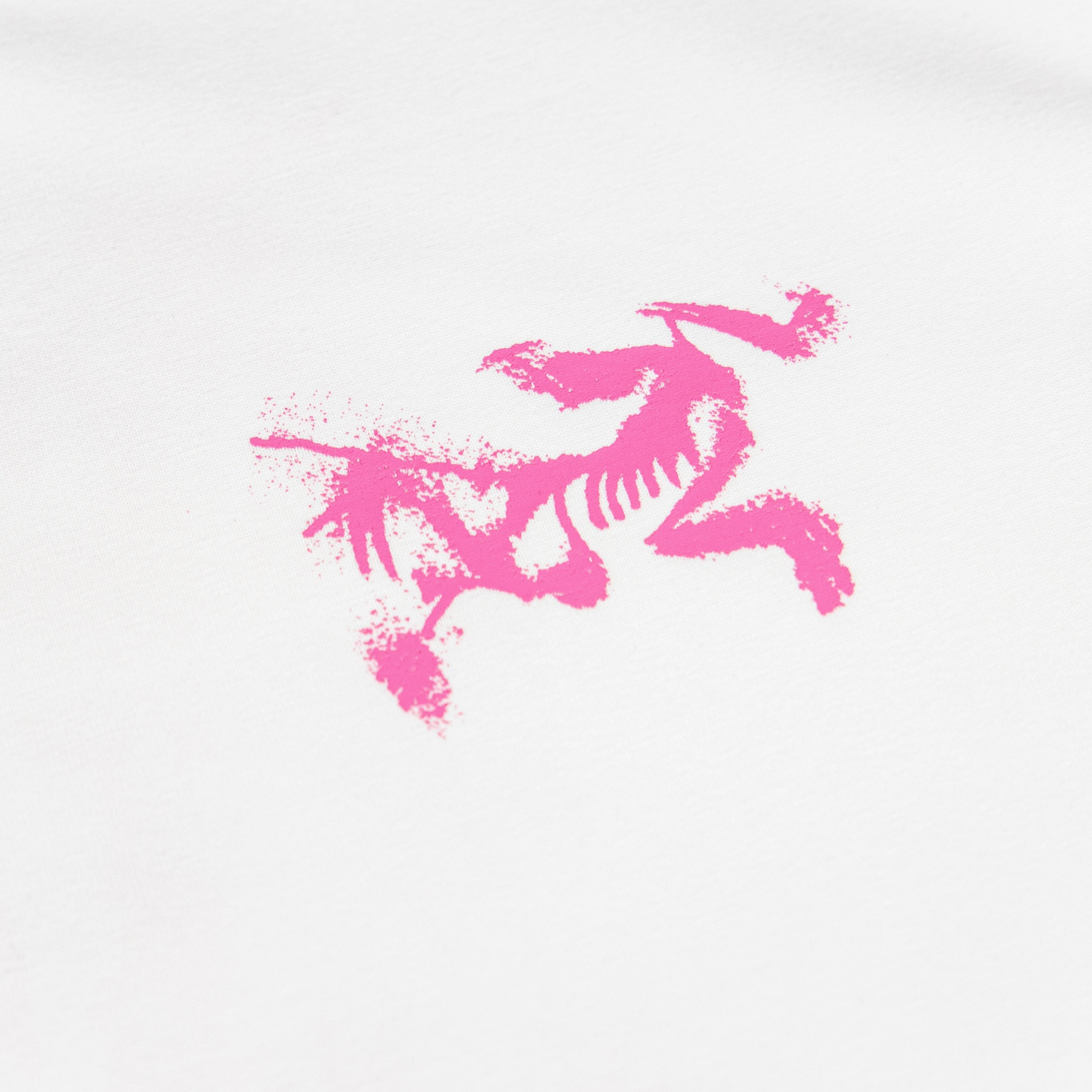 LuxluxHouse Best Quality Clothes T-shirt Arcteryx