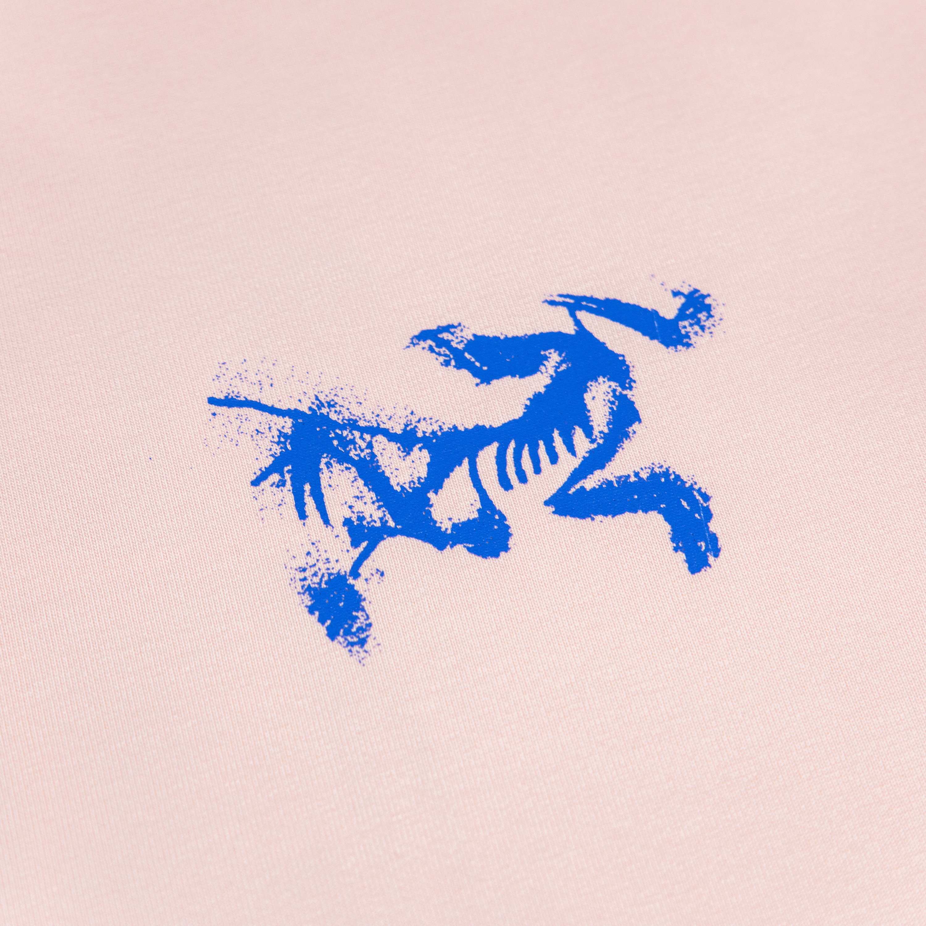 LuxluxHouse Best Quality Clothes T-shirt Arcteryx