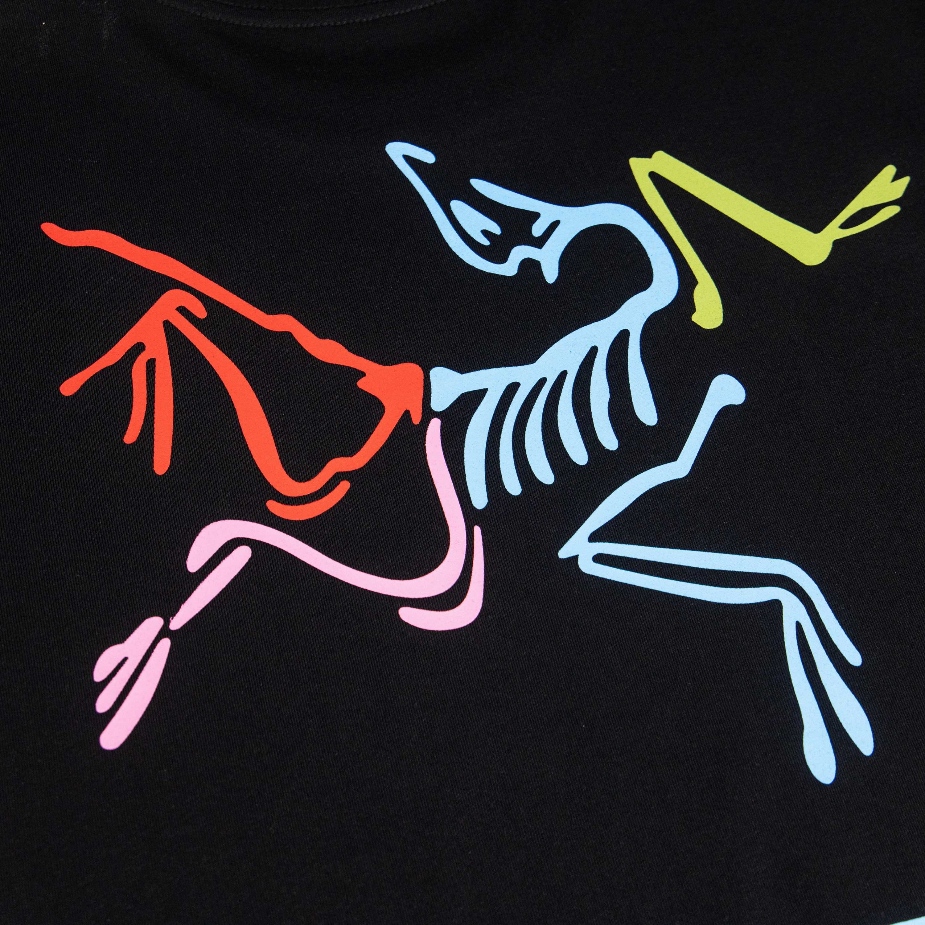 LuxluxHouse Best Quality Clothes T-shirt Arcteryx