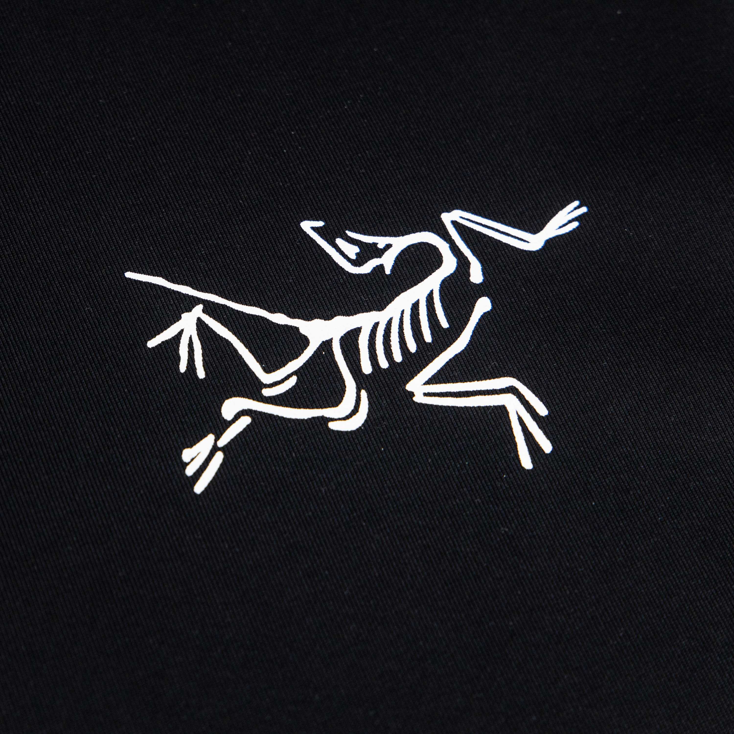 LuxluxHouse Best Quality Clothes T-shirt Arcteryx